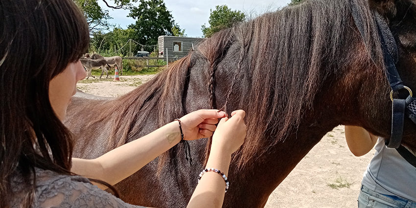Séjour artistique à la ferme