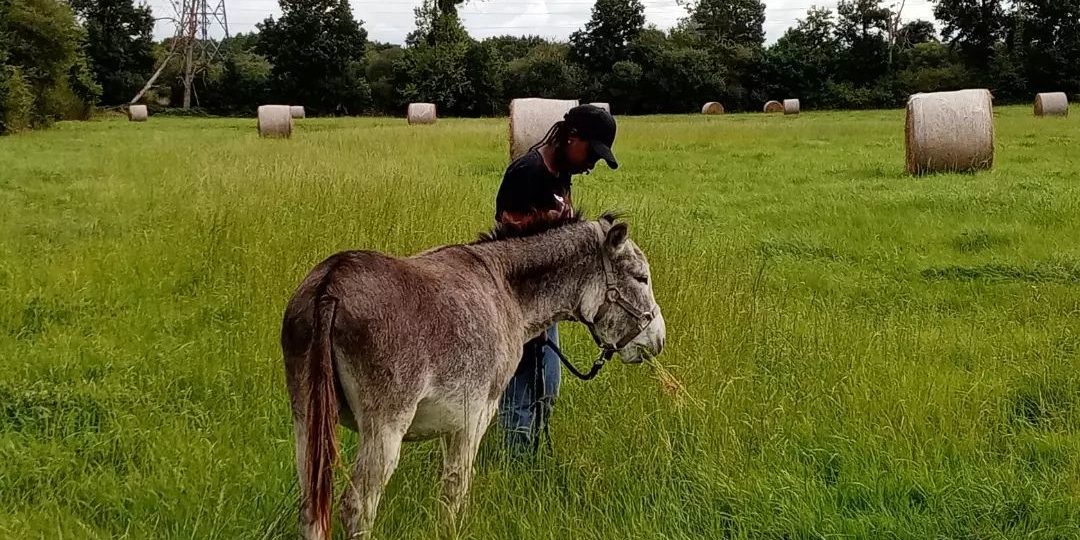 370349227_347319580951481_3722941875979824392_n