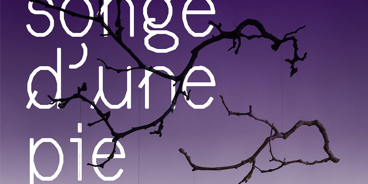 le-songe-d-une-pie-affiche-web