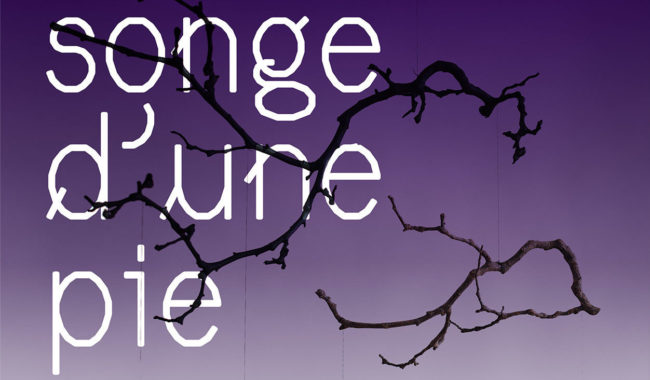 le-songe-d-une-pie-affiche-web